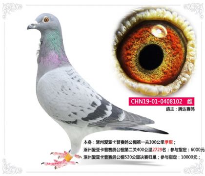 ݐہِһP(gun)300＾܊   