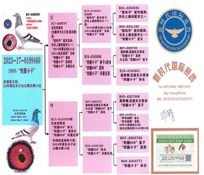 母親血統(tǒng)書