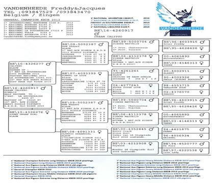 父親血統(tǒng)書
