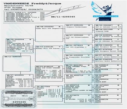 母親血統(tǒng)書