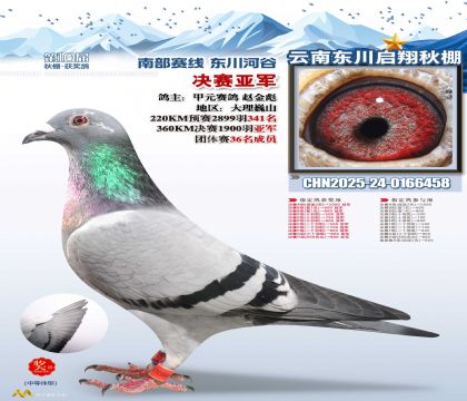 东川启翔决赛亚军