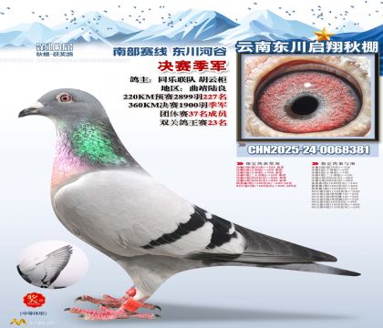 东川启翔决赛季军