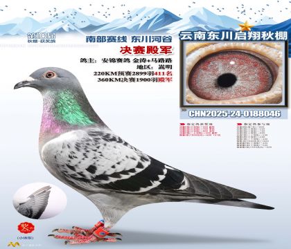 东川启翔决赛4名