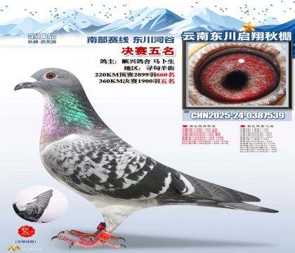 东川启翔决赛5名