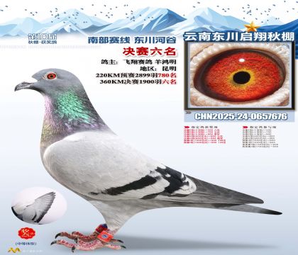 东川启翔决赛6名