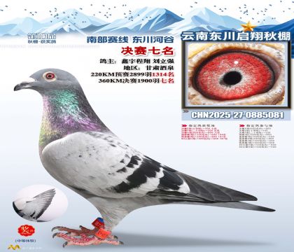 东川启翔决赛7名