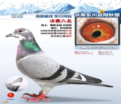 东川启翔决赛8名