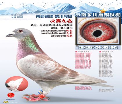 东川启翔决赛9名