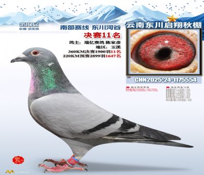 东川启翔决赛11名