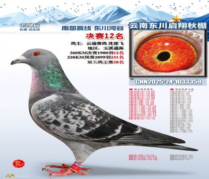 东川启翔决赛12名