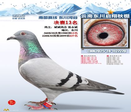 东川启翔决赛13名