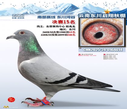 东川启翔决赛15名