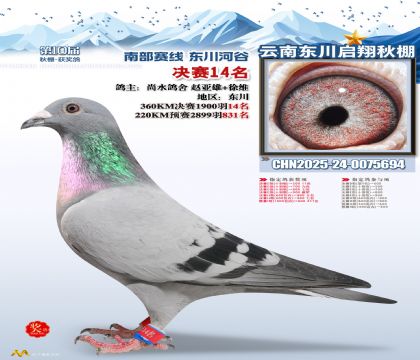 东川启翔决赛14名