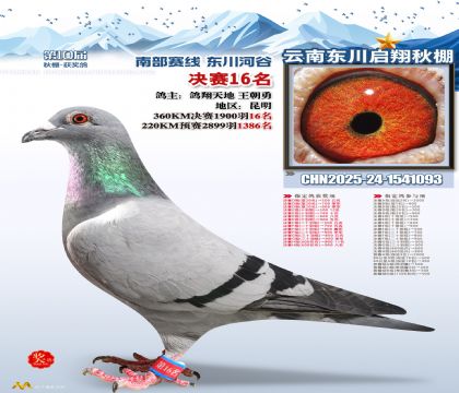 东川启翔决赛16名