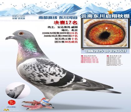 东川启翔决赛17名