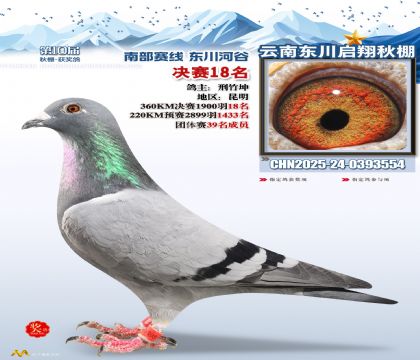 东川启翔决赛18名