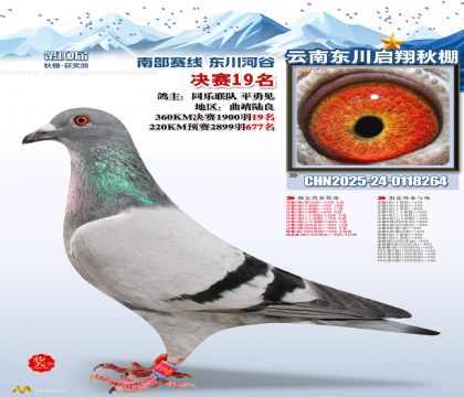 东川启翔决赛19名