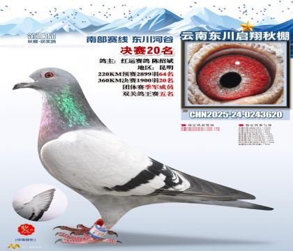 东川启翔决赛20名