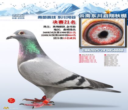 东川启翔决赛21名