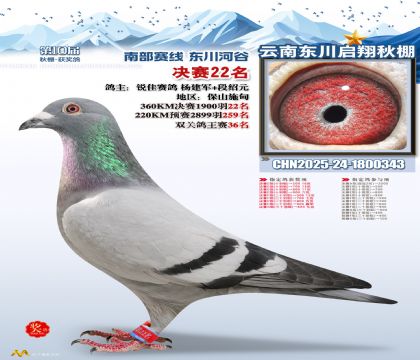 东川启翔决赛22名