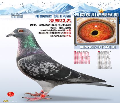 东川启翔决赛23名