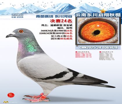 东川启翔决赛24名