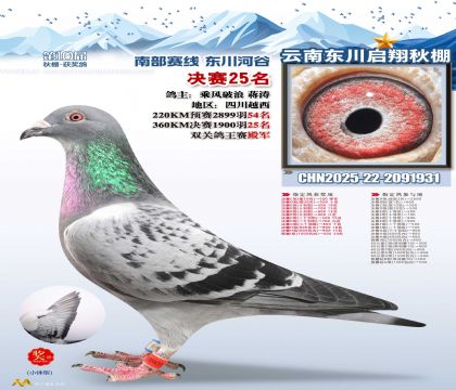 东川启翔决赛25名