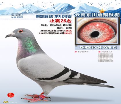 东川启翔决赛26名