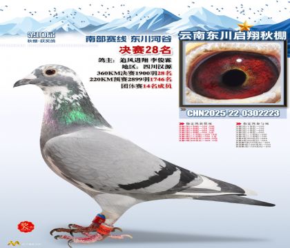 东川启翔决赛28名