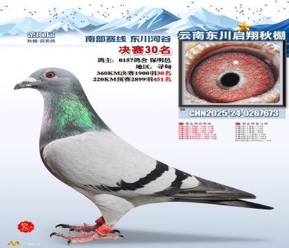 东川启翔决赛30名