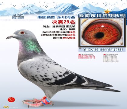 东川启翔决赛29名