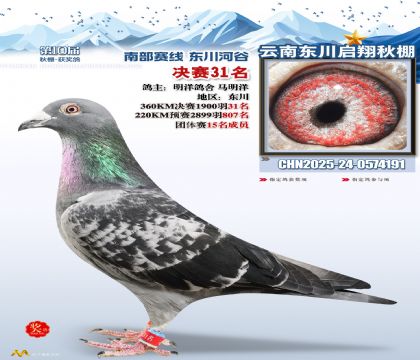 东川启翔决赛31名