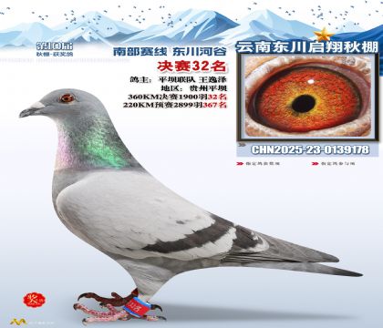 东川启翔决赛32名