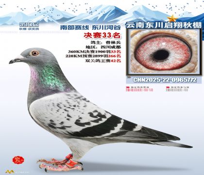 东川启翔决赛33名