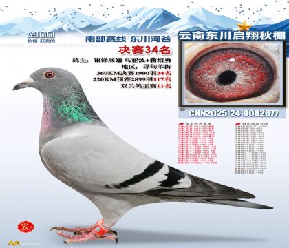 东川启翔决赛34名