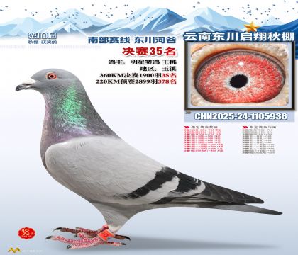 东川启翔决赛35名