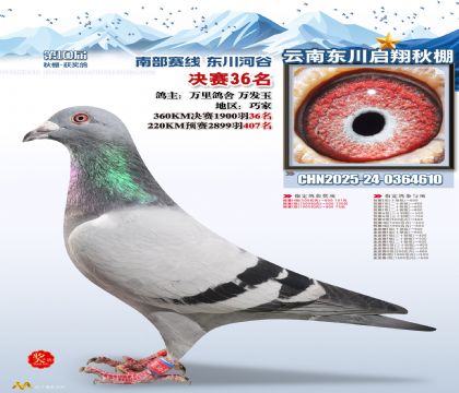 东川启翔决赛36名