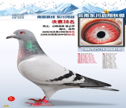 东川启翔决赛38名