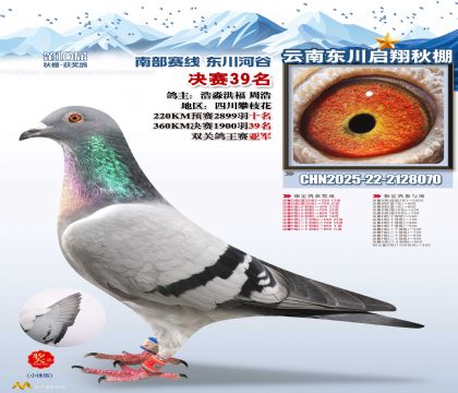 东川启翔决赛39名