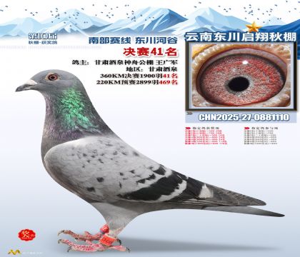 东川启翔决赛41名