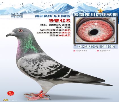 东川启翔决赛42名