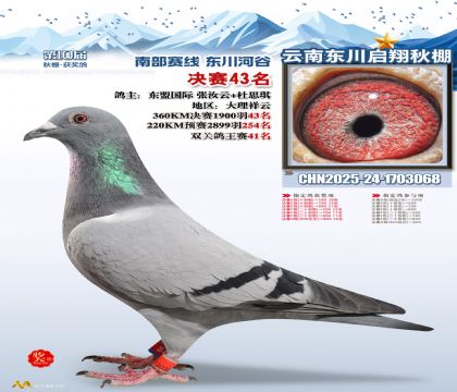 东川启翔决赛43名