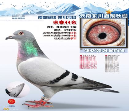 东川启翔决赛44名