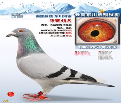 东川启翔决赛45名