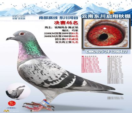 东川启翔决赛46名