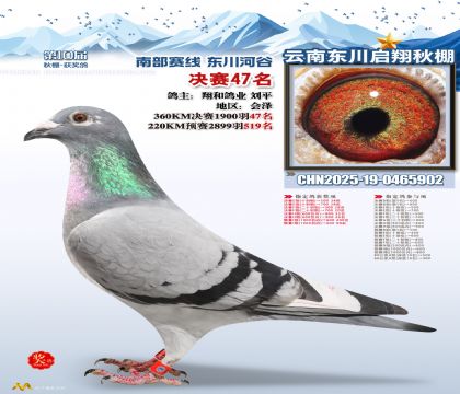 东川启翔决赛47名