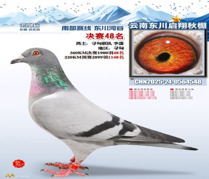 东川启翔决赛48名