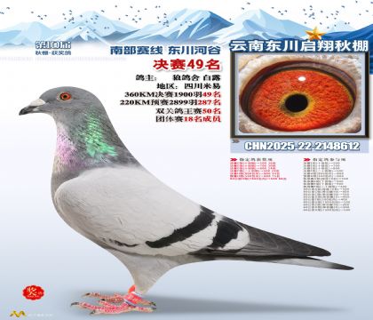 东川启翔决赛49名