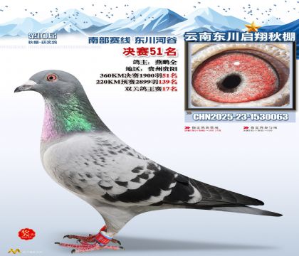 东川启翔决赛51名