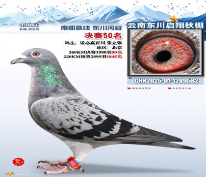 东川启翔决赛50名